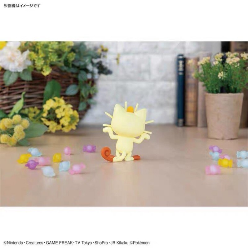 Genuine Bandai Pokemon Plamo Q - Model Kit Quick Piplup ulasan dan harga